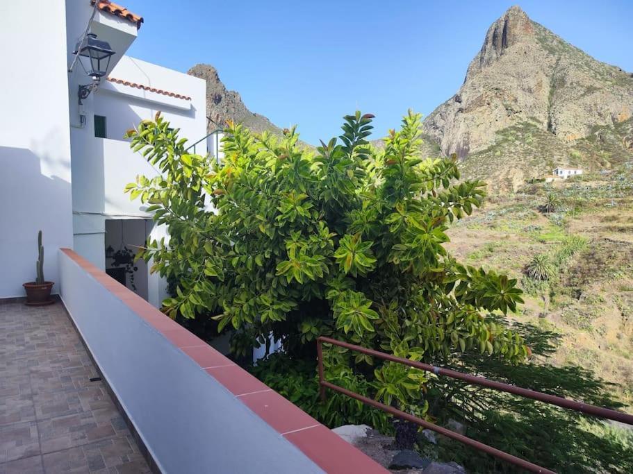 La Casa Vieja Villa Santa Cruz de Tenerife Exterior foto